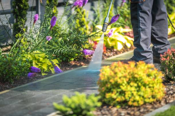 Best Patio and Deck Pressure Washing  in Kingston, OK