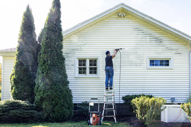Best Paint Preparation  in Kingston, OK